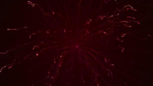 Αφηρημένο Φόντο Κινούμενα Σχέδια Ιπτάμενων Πυροτεχνημάτων Πολύχρωμο Φως Σωματιδίων Κινούμενα — Αρχείο Βίντεο