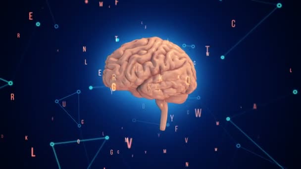 Animation Rotation Pink Human Brain Flying Data Blue Background Animation — Stockvideo