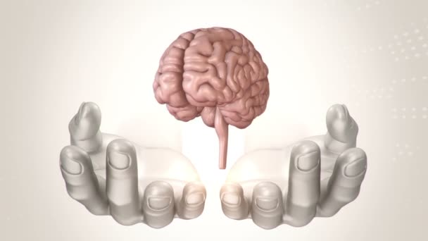Fundo Abstrato Com Animação Rotação Cérebro Mãos Abstratas Humano Animação — Vídeo de Stock