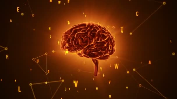 Animación Rotación Naranja Cerebro Humano Con Datos Vuelo Sobre Fondo — Vídeos de Stock