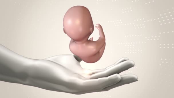 Film Scientifico Astratto Con Mani Bambino Umano Non Ancora Nato — Video Stock