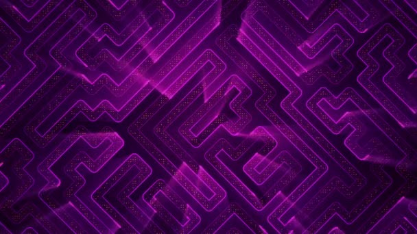 Abstract Technology Background Animation Circuit Electric Signal Particles Purple Light — Stock Video