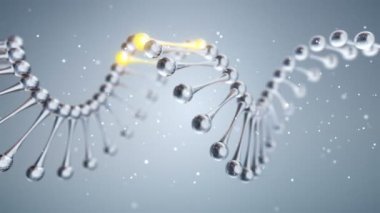 Parlak elementlerle dolu camdan DNA sarmalı döndürme animasyonuyla soyut bilimsel arka plan. Kusursuz döngünün animasyonu