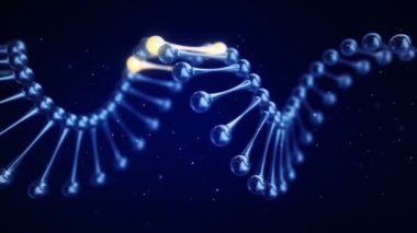 Parlak elementlerle dolu camdan DNA sarmalı döndürme animasyonuyla soyut bilimsel arka plan. Kusursuz döngünün animasyonu