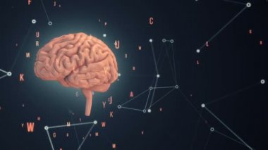 Arka planda uçan verilerle insan beyninin dönüşümünün animasyonu. Kusursuz döngünün animasyonu