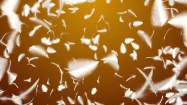 Düşen tüyün 3 boyutlu animasyon görüntüleri. Kusursuz döngünün animasyonu.