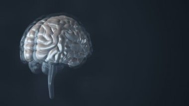 Arka planda uçan verilerle insan beyninin dönüşümünün animasyonu. Kusursuz döngünün animasyonu