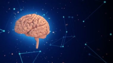 Arka planda uçan verilerle insan beyninin dönüşümünün animasyonu. Kusursuz döngünün animasyonu