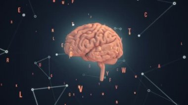 Arka planda uçan verilerle insan beyninin dönüşümünün animasyonu. Kusursuz döngünün animasyonu