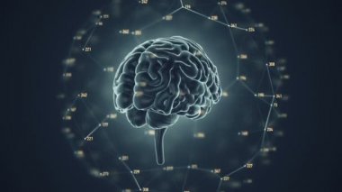 Arka planda uçan verilerle insan beyninin dönüşümünün animasyonu. Kusursuz döngünün animasyonu