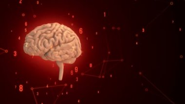 Arka planda uçan verilerle insan beyninin dönüşümünün animasyonu. Kusursuz döngünün animasyonu