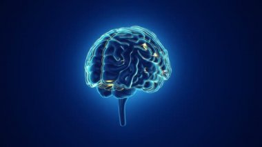 Arka planda uçan verilerle insan beyninin dönüşümünün animasyonu. Kusursuz döngünün animasyonu