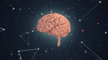 Arka planda uçan verilerle insan beyninin dönüşümünün animasyonu. Kusursuz döngünün animasyonu