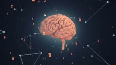 Arka planda uçan verilerle insan beyninin dönüşümünün animasyonu. Kusursuz döngünün animasyonu