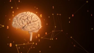 Arka planda uçan verilerle insan beyninin dönüşümünün animasyonu. Kusursuz döngünün animasyonu