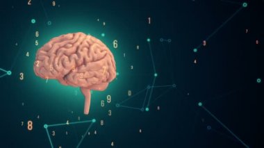 Arka planda uçan verilerle insan beyninin dönüşümünün animasyonu. Kusursuz döngünün animasyonu