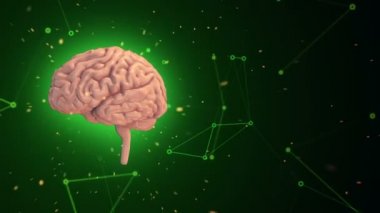 Arka planda uçan verilerle insan beyninin dönüşümünün animasyonu. Kusursuz döngünün animasyonu