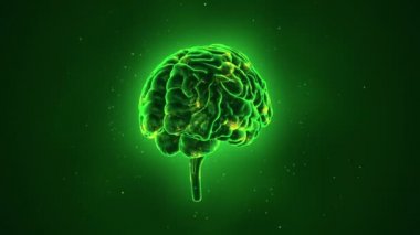 Arka planda uçan verilerle insan beyninin dönüşümünün animasyonu. Kusursuz döngünün animasyonu