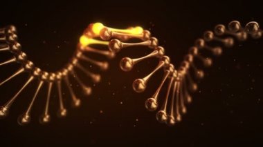 Parlak elementlerle dolu camdan DNA sarmalı döndürme animasyonuyla soyut bilimsel arka plan. Kusursuz döngünün animasyonu