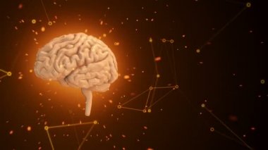 Arka planda uçan verilerle insan beyninin dönüşümünün animasyonu. Kusursuz döngünün animasyonu