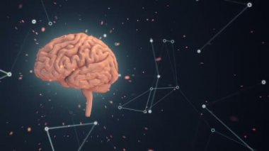 Arka planda uçan verilerle insan beyninin dönüşümünün animasyonu. Kusursuz döngünün animasyonu