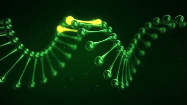 Abstraktní Vědecké Zázemí Animací Rotace Dna Šroubovice Skla Zářícími Jednotlivými — Stock video