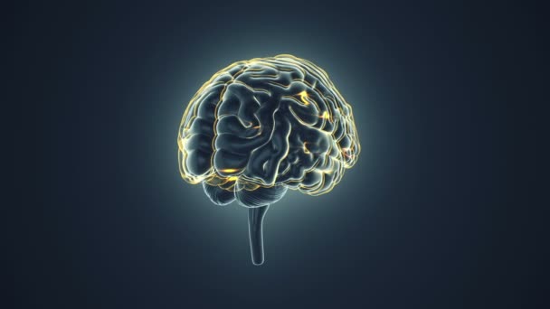 Анімація Обертання Людського Мозку Літаючими Даними Фоні Анімація Безшовної Петлі — стокове відео