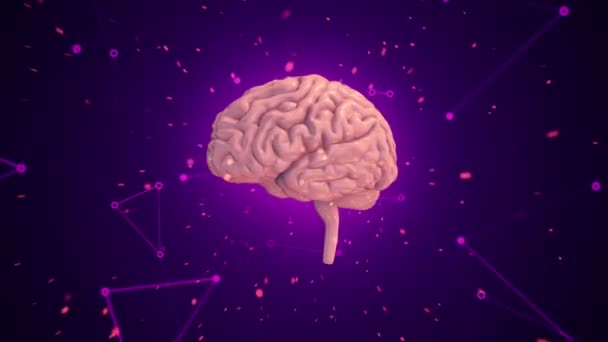 Animatie Van Rotatie Menselijke Hersenen Met Vliegende Gegevens Rond Achtergrond — Stockvideo