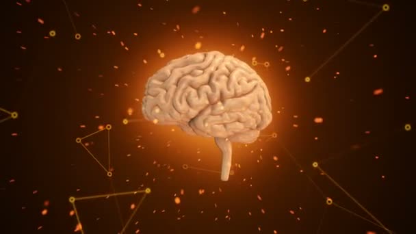 Animación Rotación Del Cerebro Humano Con Datos Vuelo Alrededor Fondo — Vídeo de stock