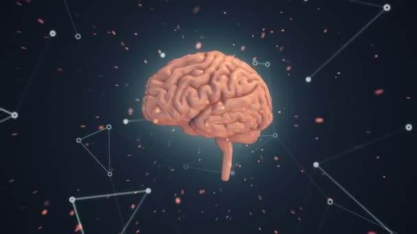 Animação Rotação Cérebro Humano Com Dados Voadores Torno Fundo Animação — Vídeo de Stock