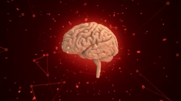 Animation Rotation Human Brain Flying Data Background Animation Seamless Loop — Stock Video