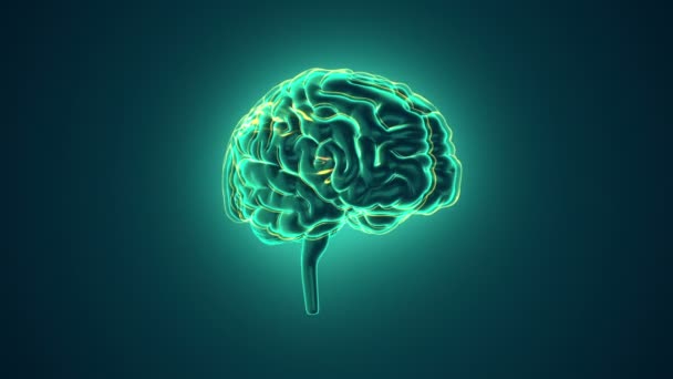 Animacja Obrotu Ludzkiego Mózgu Latającymi Danymi Tle Animacja Pętli Płynnej — Wideo stockowe