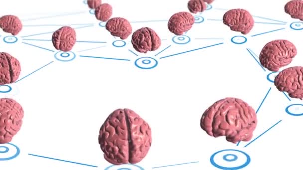 Antecedentes Abstratos Com Animação Nuvem Rede Conectar Usuários Símbolos Cerebrais — Vídeo de Stock