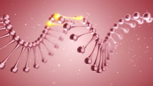 Sfondo Scientifico Astratto Con Animazione Della Rotazione Elica Del Dna — Video Stock