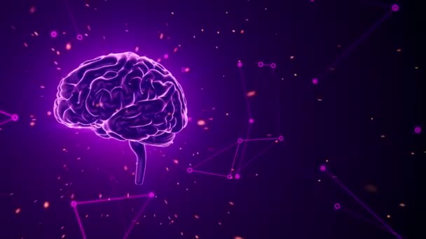 Animación Rotación Del Cerebro Humano Con Datos Vuelo Alrededor Fondo — Vídeo de stock