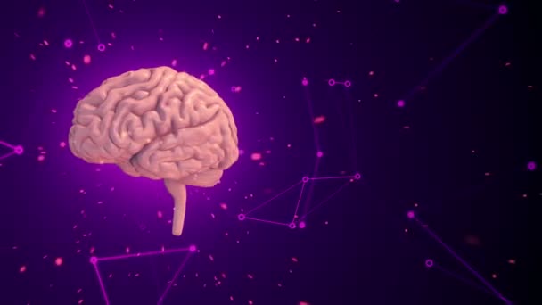 Animation Rotation Human Brain Flying Data Background Animation Seamless Loop — Stock Video