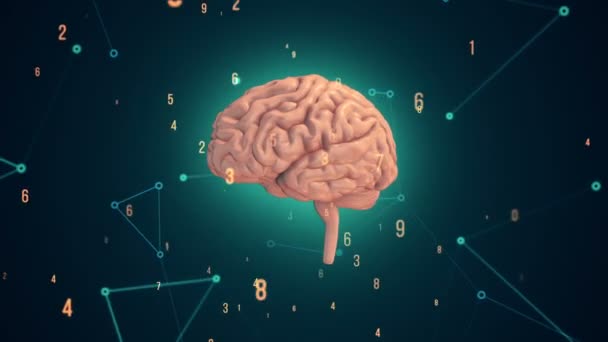 Animación Rotación Del Cerebro Humano Con Datos Vuelo Alrededor Fondo — Vídeos de Stock