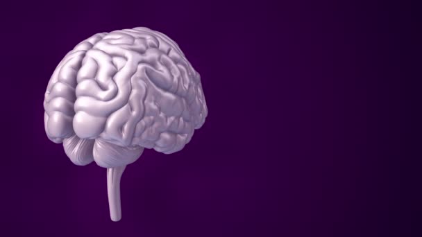 Animation Rotation Cerveau Humain Avec Des Données Volantes Autour Sur — Video