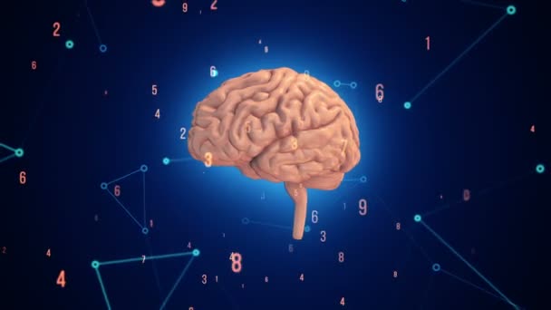 Animación Rotación Del Cerebro Humano Con Datos Vuelo Alrededor Fondo — Vídeos de Stock