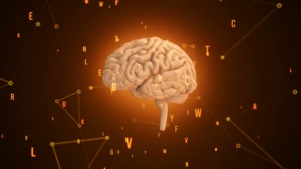 Animación Rotación Del Cerebro Humano Con Datos Vuelo Alrededor Fondo — Vídeo de stock