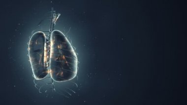 Dönüşümlü gerçekçi insan akciğerleri animasyonuyla soyut bir arka plan. Ciğerlerinde parlayan nöronlar olan fon. Kusursuz döngünün animasyonu