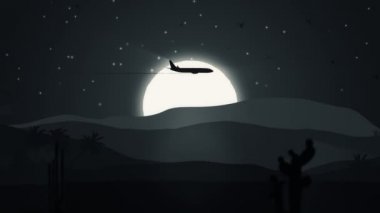Animasyon, uçak ve kuşlarla karikatür tarzında hareket ediyor. Portföyümde üç versiyon var: gündüz, gün batımı ve gece. Kusursuz döngünün animasyonu.