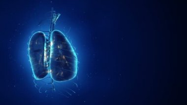 Dönüşümlü gerçekçi insan akciğerleri animasyonuyla soyut bir arka plan. Ciğerlerinde parlayan nöronlar olan fon. Kusursuz döngünün animasyonu