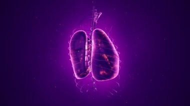 Dönüşümlü gerçekçi insan akciğerleri animasyonuyla soyut bir arka plan. Ciğerlerinde parlayan nöronlar olan fon. Kusursuz döngünün animasyonu