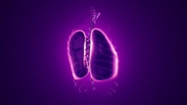 Dönüşümlü gerçekçi insan akciğerleri animasyonuyla soyut bir arka plan. Ciğerlerinde parlayan nöronlar olan fon. Kusursuz döngünün animasyonu