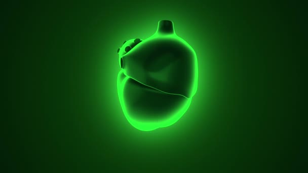 Animation Rotation Coeur Humain Avec Impulsions Neuronales Concept Soins Santé — Video