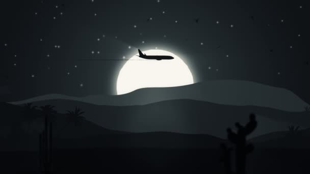 飛行機や鳥と漫画のスタイルで風景のアニメーション移動 私のポートフォリオの3つのバージョン 日没と夜 シームレスループのアニメーション — ストック動画