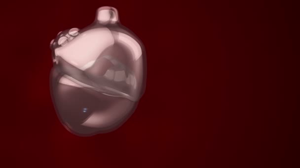 animation de rotation coeur humain. concept de soins de santé. Animation de boucle transparente 