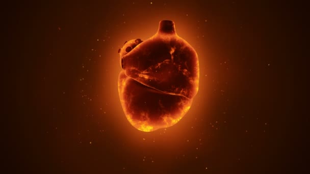 Animation Rotation Coeur Humain Avec Impulsions Neuronales Concept Soins Santé — Video