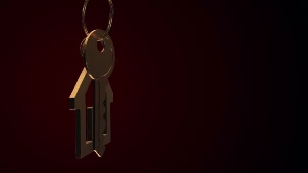 Animation Metallic Ring Key New Home Keychain Animation Seamless Loop — 비디오